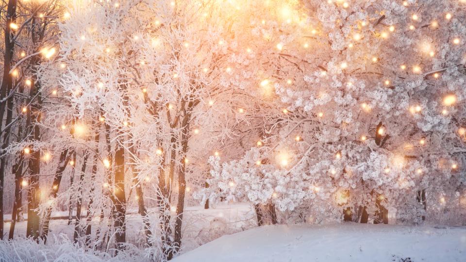 Soft Light, Big Feelings: Inside the Firefly Lighting Movement