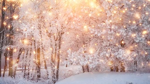 Soft Light, Big Feelings: Inside the Firefly Lighting Movement