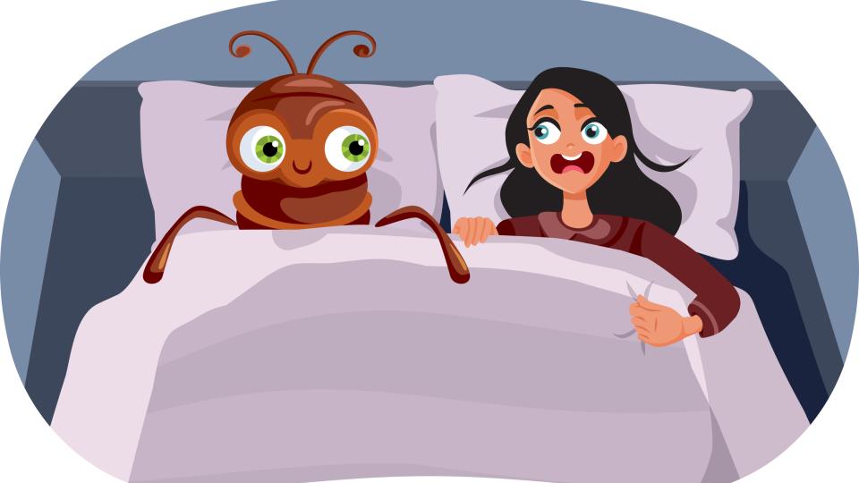 The Truth About Bed Bugs and the Myths That Keep Them Spreading