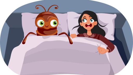 The Truth About Bed Bugs and the Myths That Keep Them Spreading