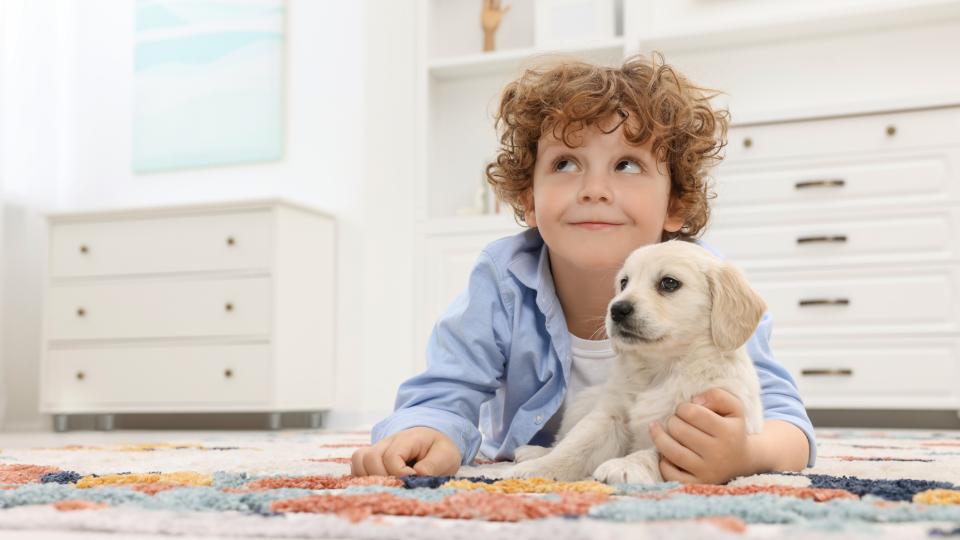 Playroom Carpet Cleaning Done Right