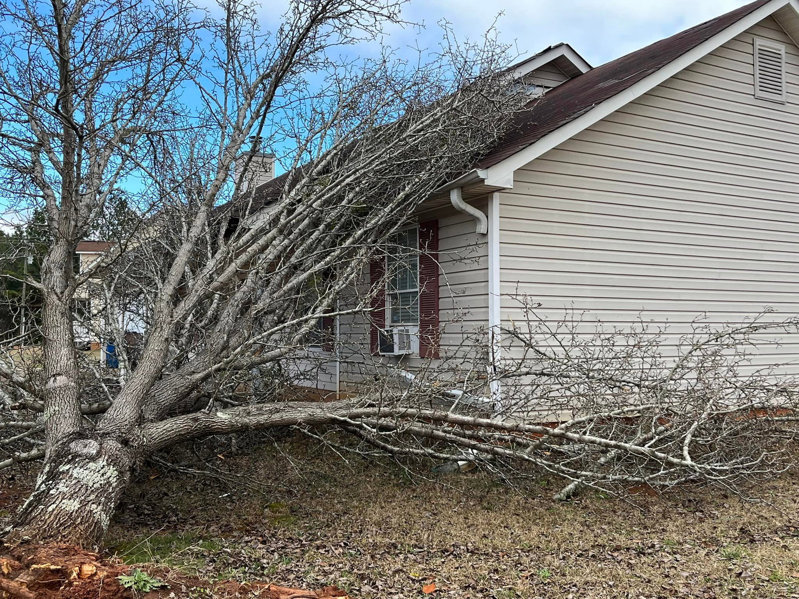 Total Roof Solutions photo