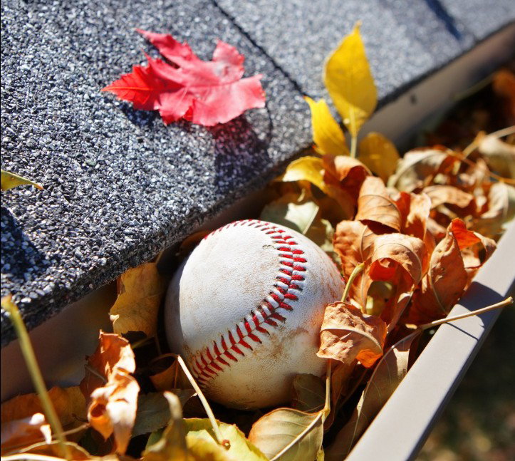 Window Genie-Gutter Cleaning photo