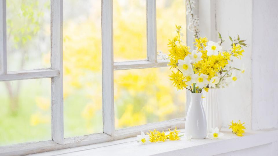Let the Sunshine In With Better Windows This Spring