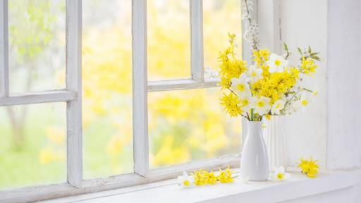 Let the Sunshine In With Better Windows This Spring
