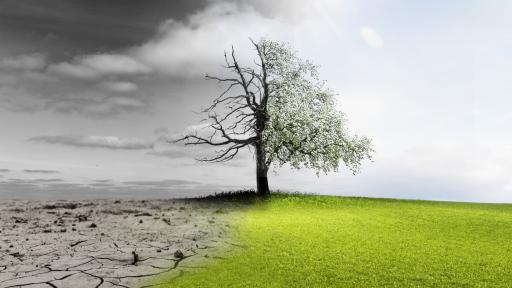 Get Ahead of Tree Trouble This Spring