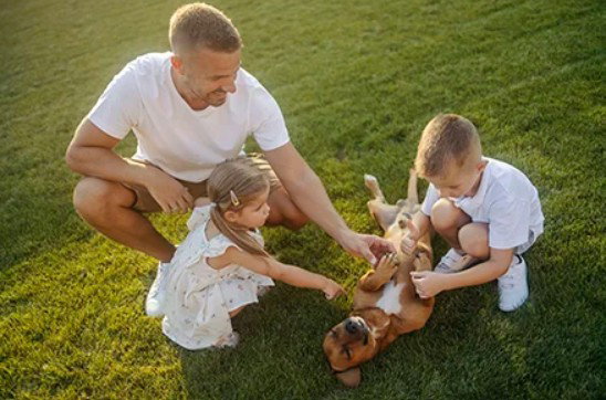 Fairway Lawn Service Inc. photo