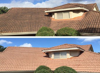 Proline Pressure Washing photo