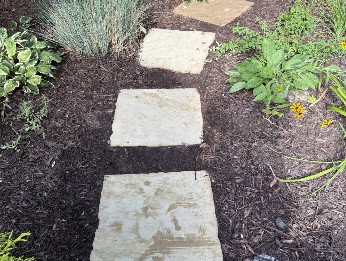 Proline Pressure Washing photo