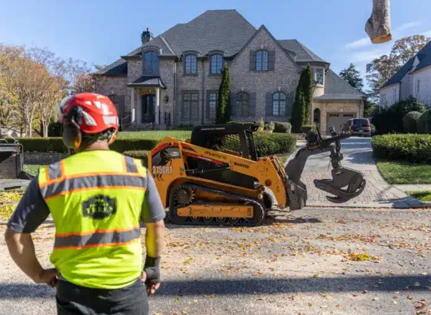 Top Tier Trees photo