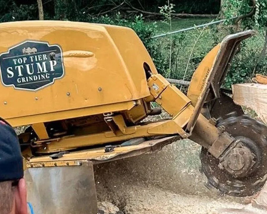 Top Tier Stump Grinding photo