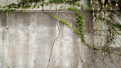 Retaining Wall Problems That Get Expensive Fast