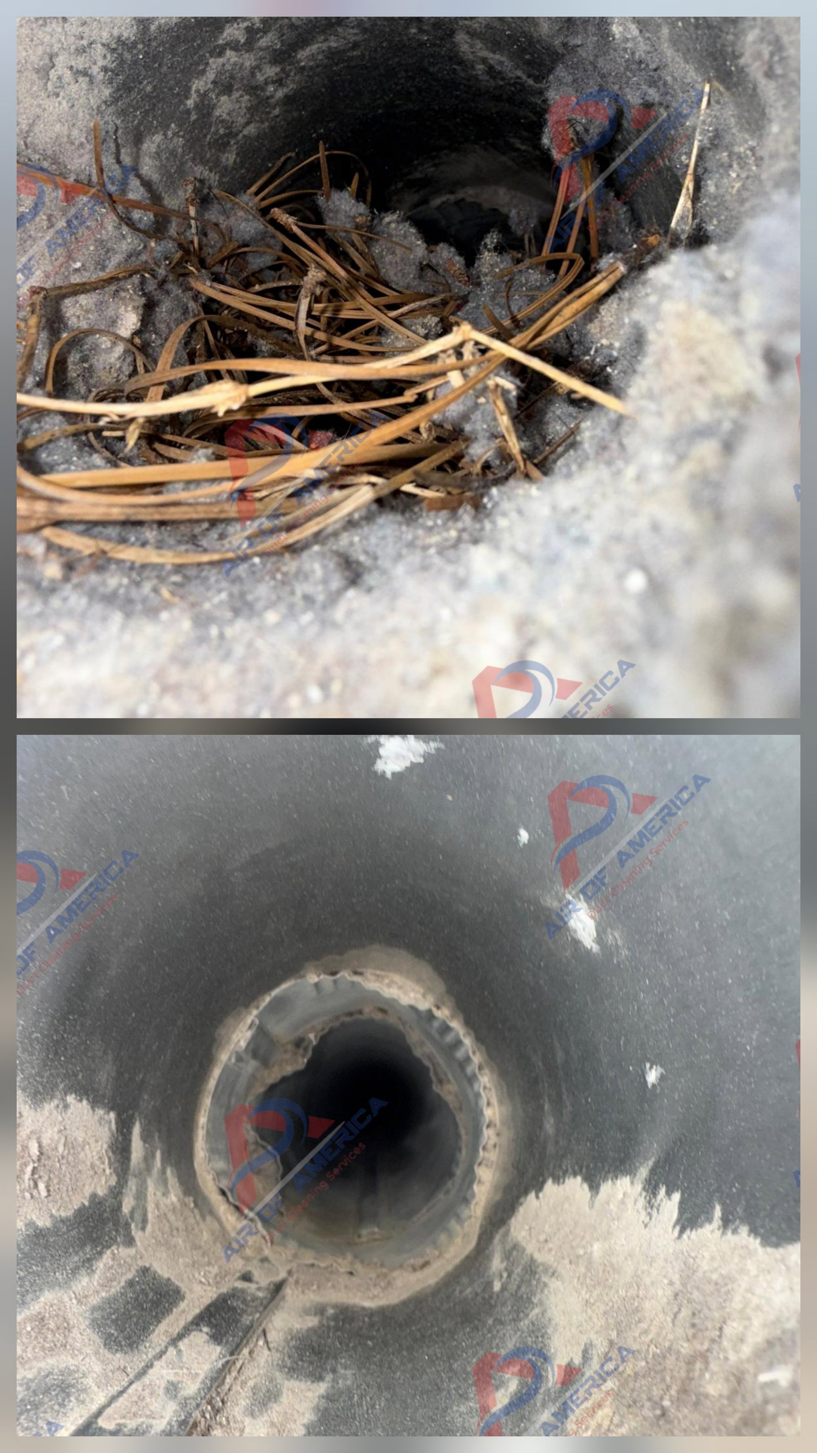 Air of America Duct Cleaning Services - Dryer Vent Cleaning photo