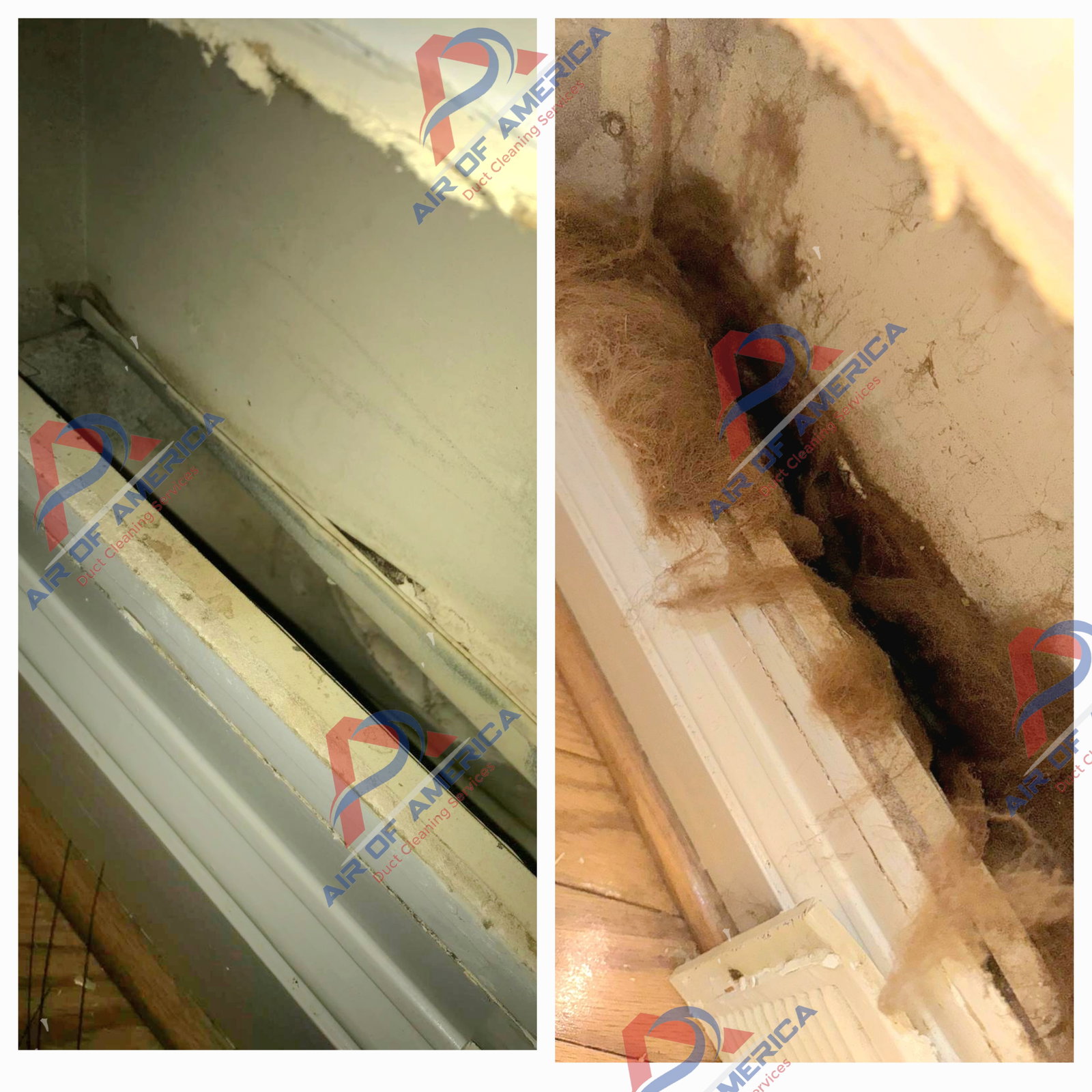 Air of America Duct Cleaning Services - Dryer Vent Cleaning photo