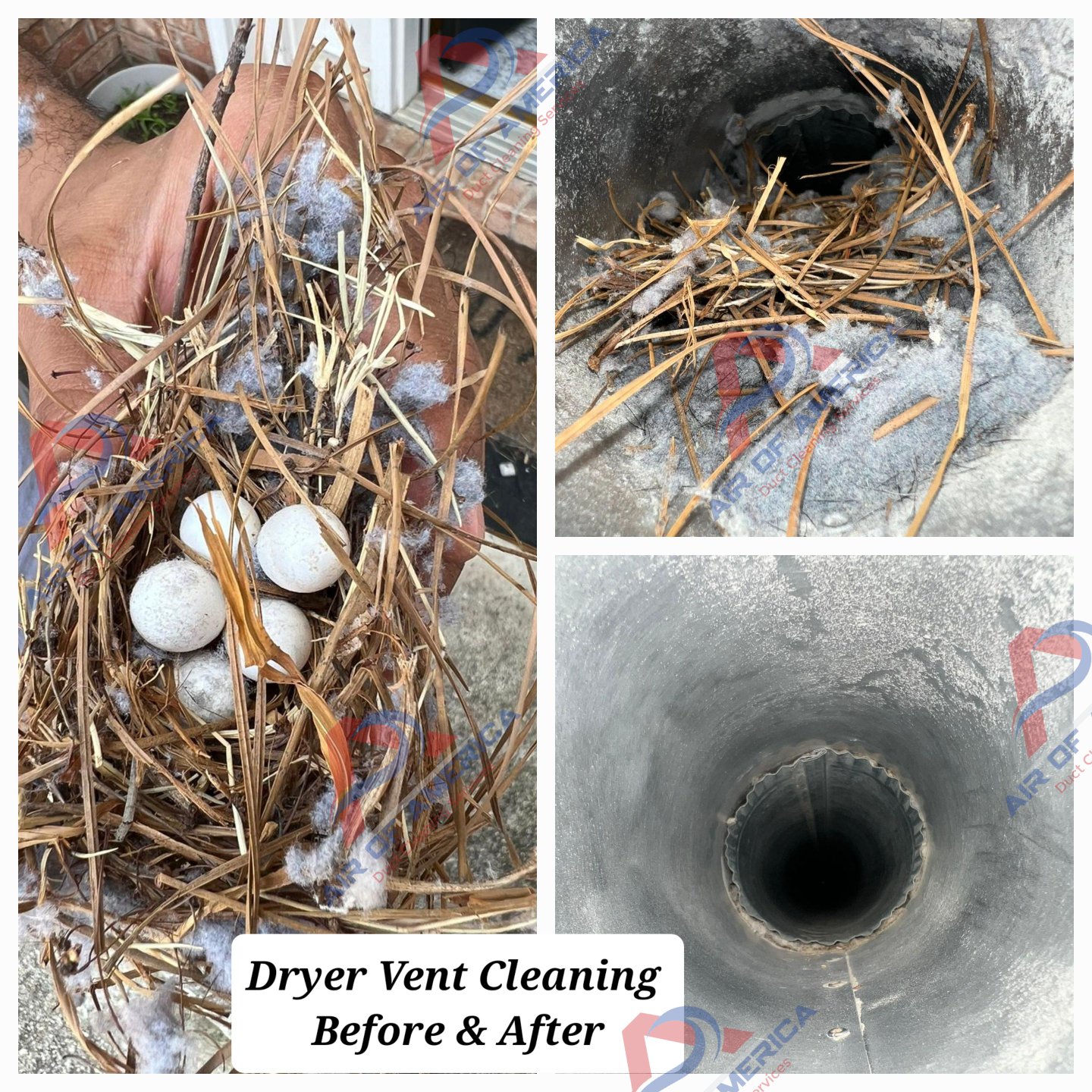 Air of America Duct Cleaning Services - Dryer Vent Cleaning photo