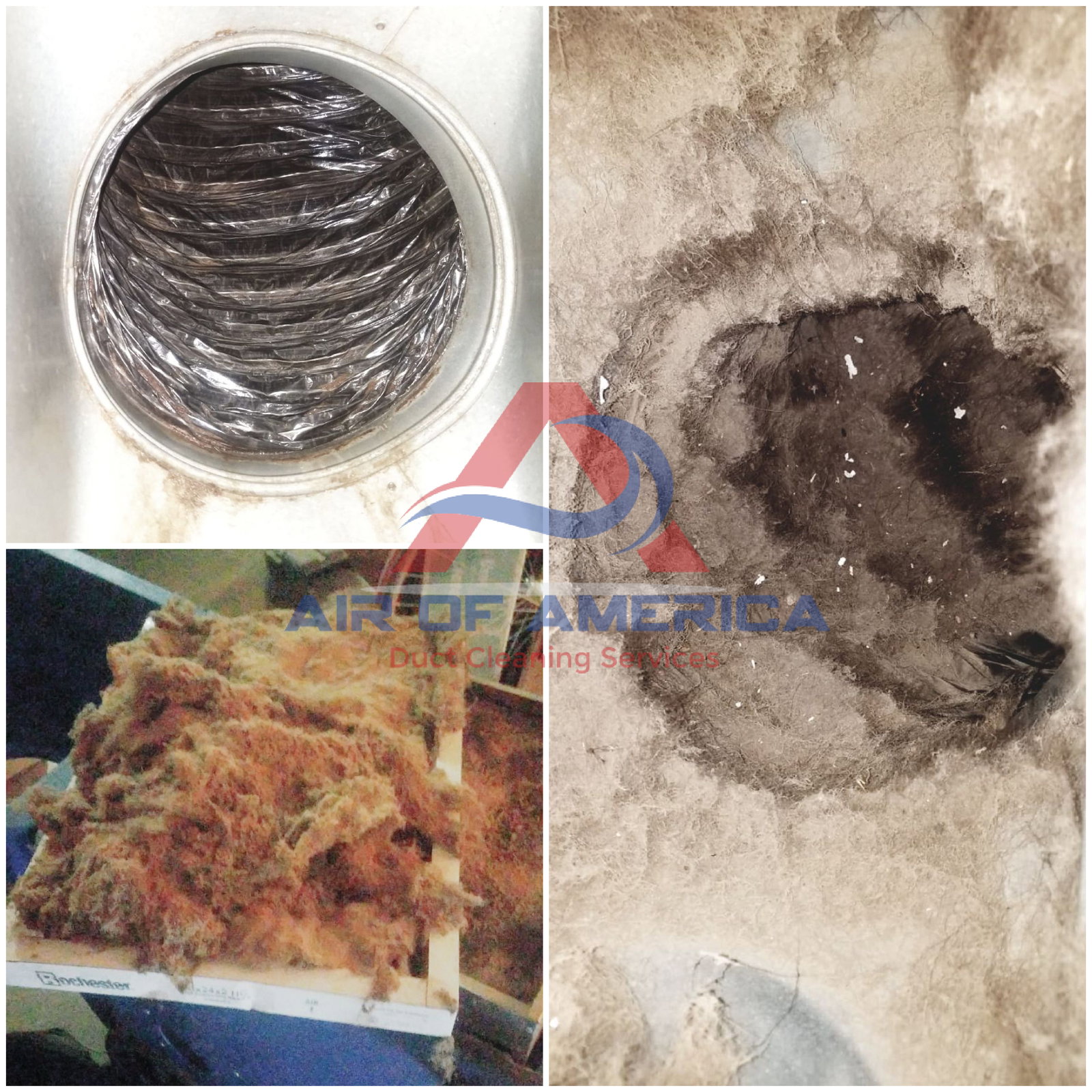 Air of America Duct Cleaning Services - Dryer Vent Cleaning photo