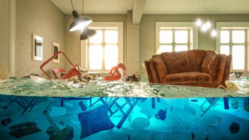 Water Damage? What You Do in 24 Hours Matters