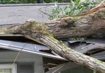 Roof-Tastic & Beyond Exteriors - Roof Repair photo