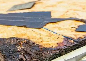 Roof-Tastic & Beyond Exteriors - Roof Repair photo