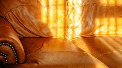 Are Your Windows Fading Your Furniture?