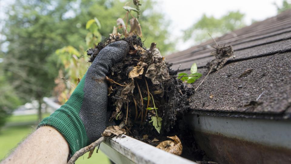 The Cost of Clogged Gutters Is More Than You Think