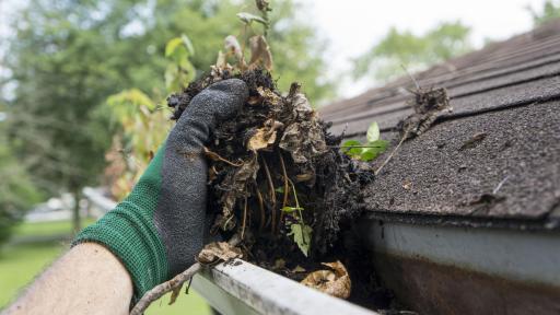 The Cost of Clogged Gutters Is More Than You Think