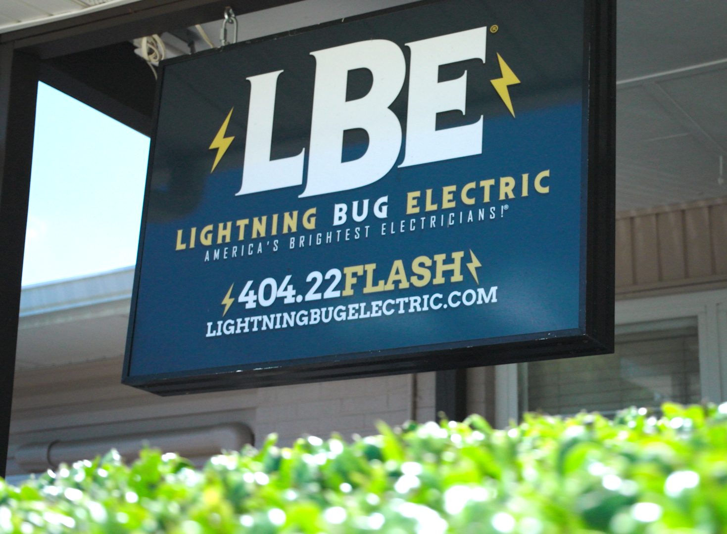 Lightning Bug Electric photo