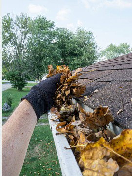 Window Genie-Gutter Cleaning photo