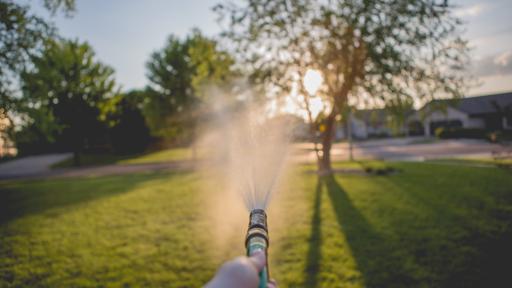 How to Protect Your Landscaping From Intense Summer Heat