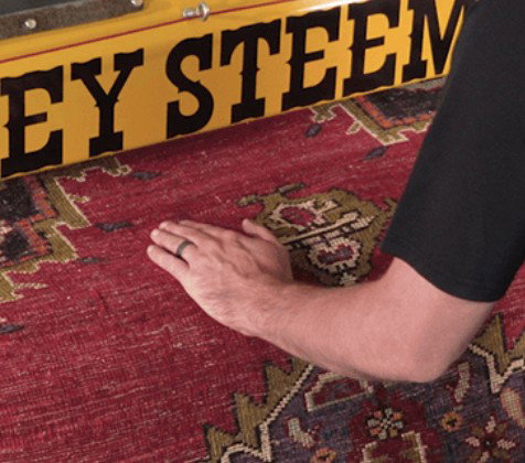 Stanley Steemer - Carpet Cleaning and Floor Cleaning photo