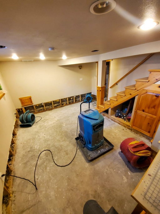 Stanley Steemer - Water Restoration photo