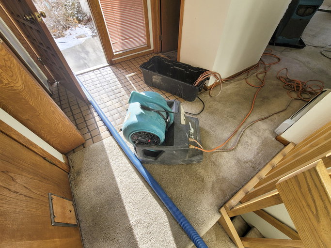 Stanley Steemer - Water Restoration photo