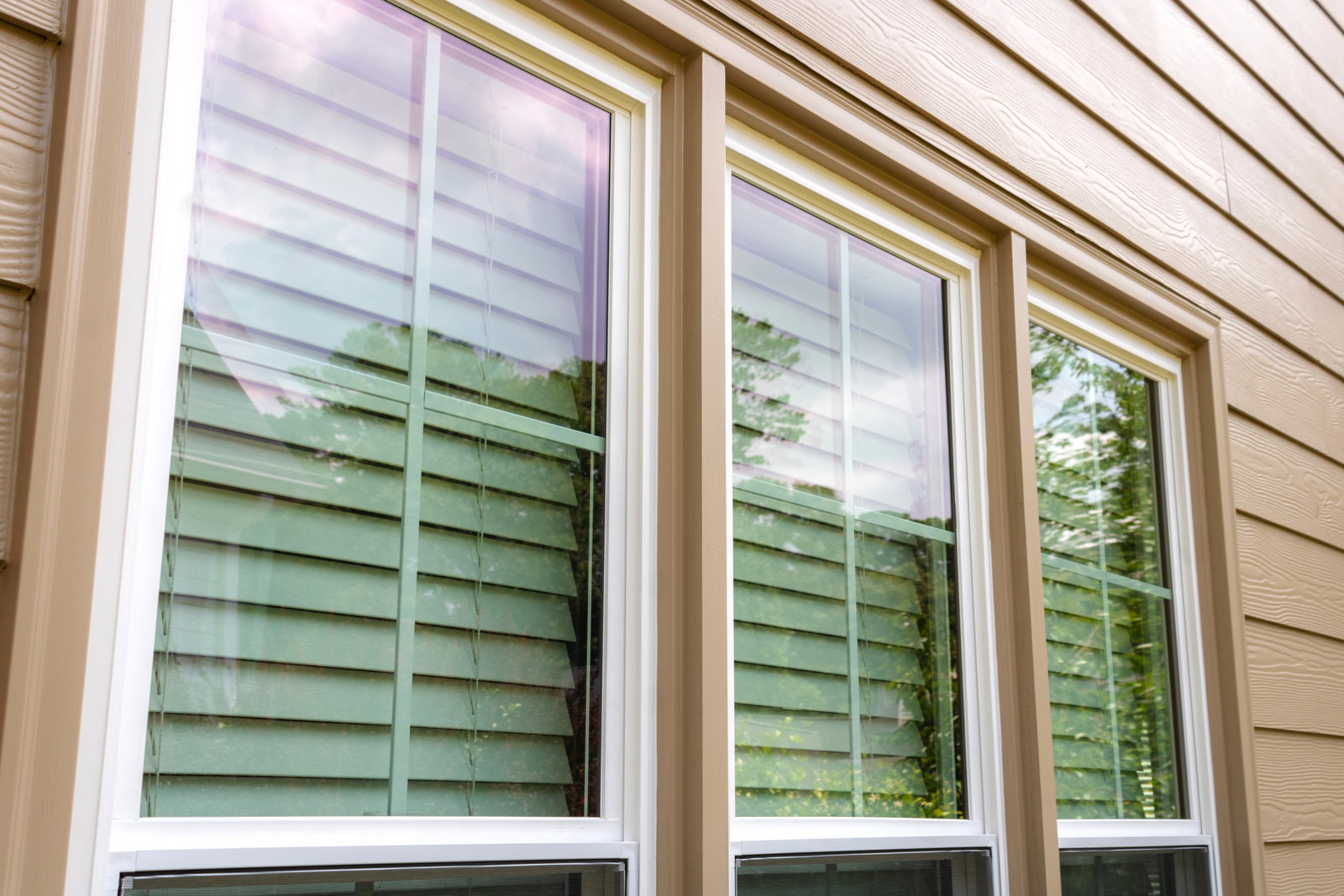 Nelson Exteriors Windows photo