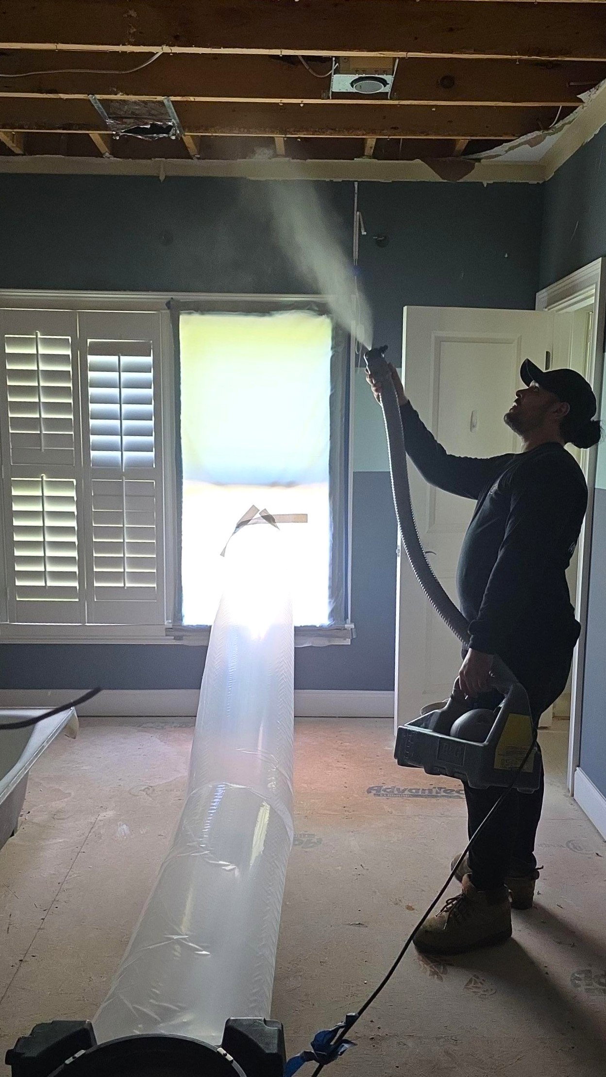 All Dry - Mold Remediation photo