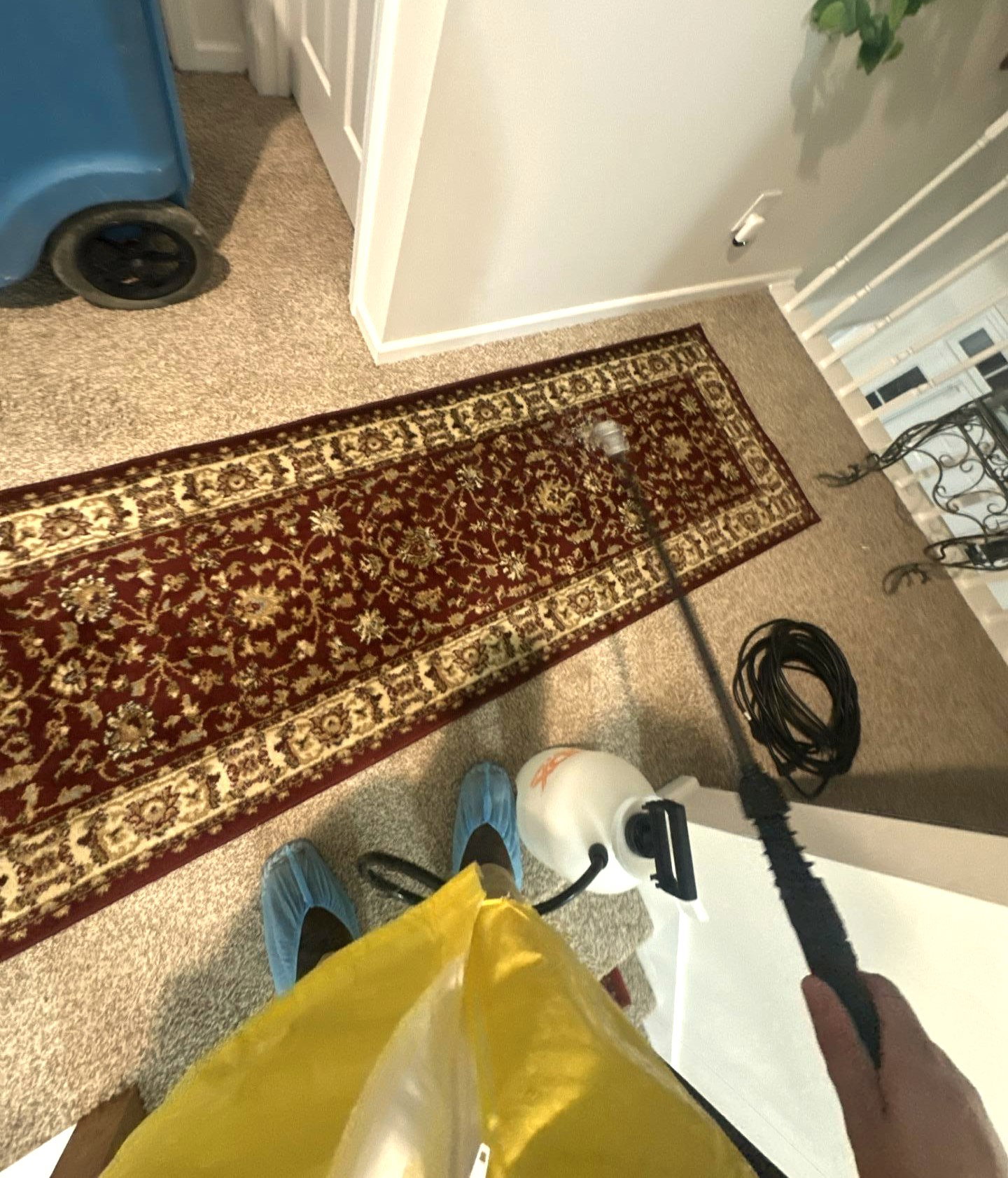 All Dry - Mold Remediation photo