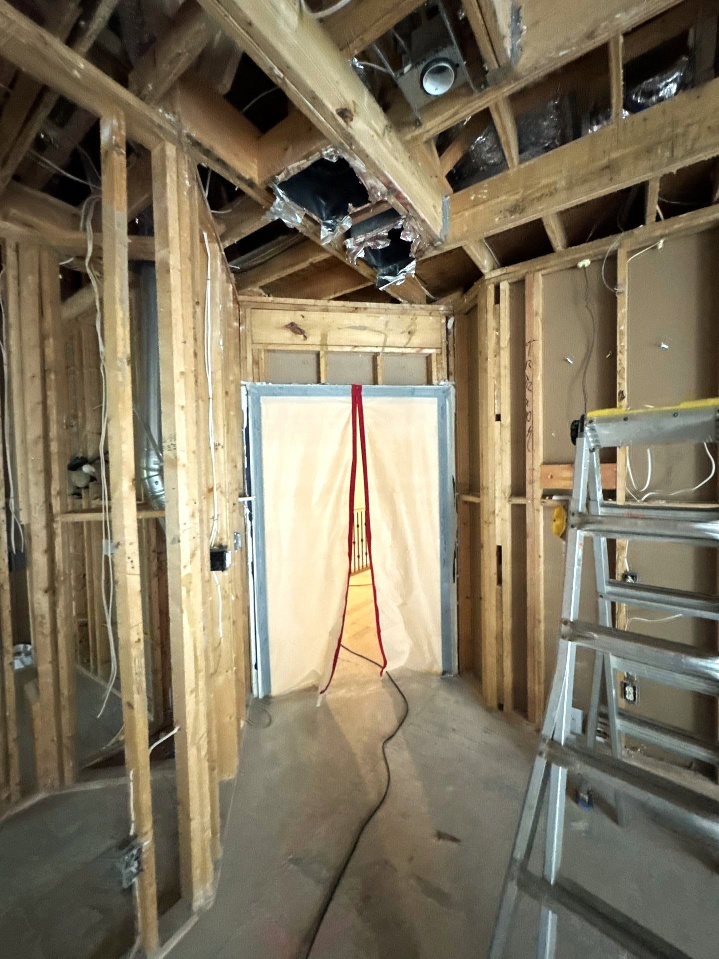 All Dry - Mold Remediation photo