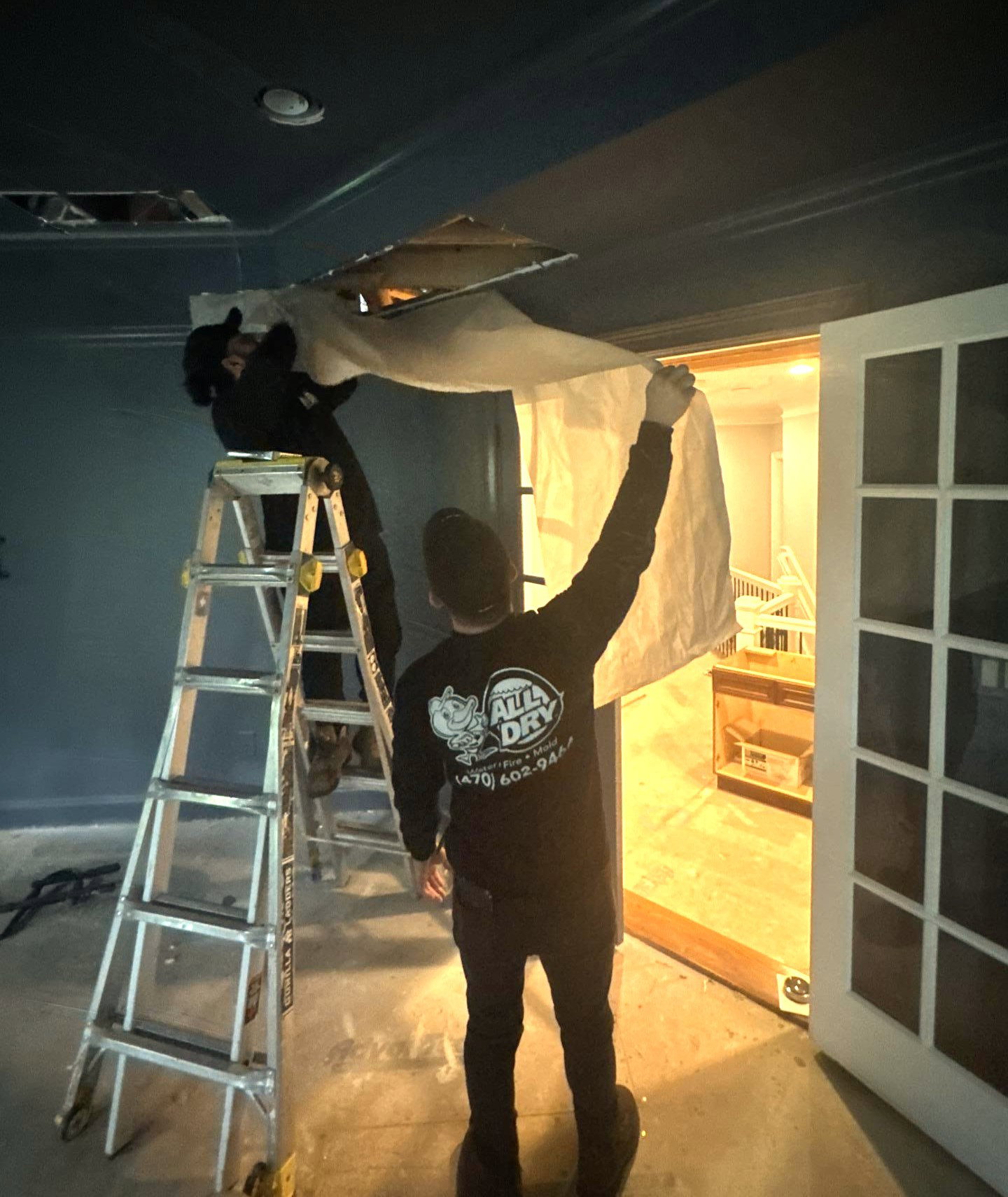 All Dry - Mold Remediation photo