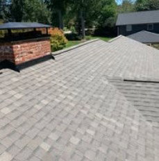 Ben Hill Renovations-Roofing photo