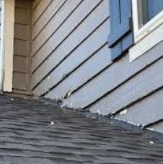 Ben Hill Renovations - Roof Repair photo