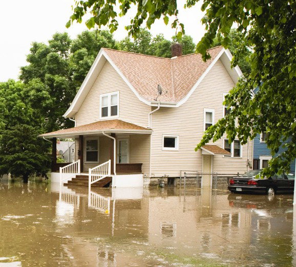 Apex Disaster Management - Water Restoration photo